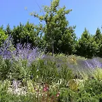 Il Casale Di Giulia Sirolo